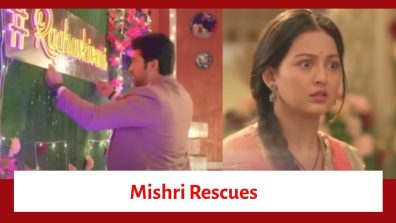 Mishri Serial Upcoming Update: Raghav suffers an electric shock; Mishri runs to his rescue