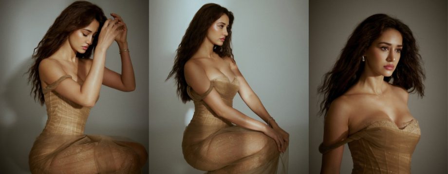 [Photos] Disha Patani Looks Sizzling In Strapless See-through Beige Netted Gown 913156