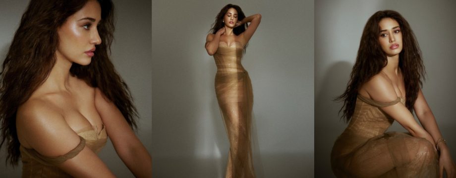 [Photos] Disha Patani Looks Sizzling In Strapless See-through Beige Netted Gown 913155
