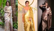 Shriya Saran Inspired Trendy Pure Silk Sarees For Wedding Festivities