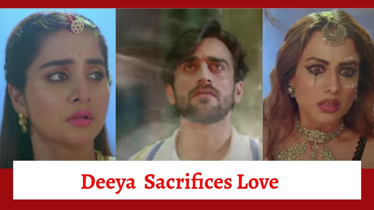 Suhagan Chudail Serial Upcoming Twist: Deeya desires to sacrifice her love; will she unite Moksh with Nishigandha? 910566