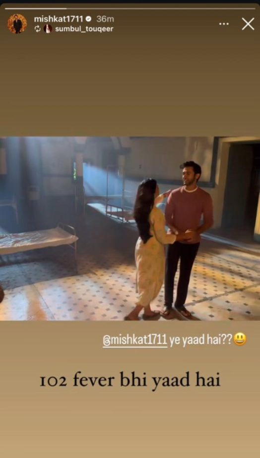 Sumbul Touqeer Shares Throwback Dance Video, Mishkat Varma Recalls Working With 102° Fever 914625