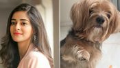 Ananya Panday Bids Emotional Farewell to Beloved Pet Dog Fudge: ‘Will Miss You Every Single Day’