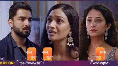 Bhagya Lakshmi Written Update 4 September 2024: Rishi Gets Emotional As Lakshmi Begs Pardon, Malishka Jealous