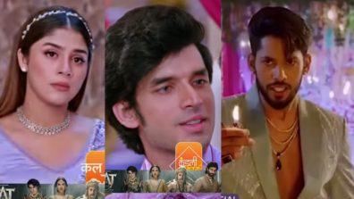Kundali Bhagya Serial Spoiler: Palki Gets Frustrated, Plans To Tell Shaurya About His Relation With Rajveer