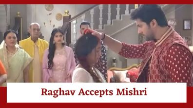 Mishri Serial Upcoming Twist: Raghav on a revenge mission against Mishri; accepts her as his wife