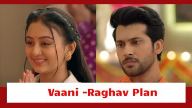 Mishri Serial Upcoming Twist: Vaani and Raghav’s final plan to expose Ranjeet; Mishri’s courage to fight back