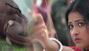 Rangamati Tirandaj Aims: Star jalsha’s New Serial Premiere With Action-Packed Episodes
