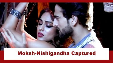 Suhagan Chudail Serial Upcoming Twist: Mahasur captures Moksh and Nishigandha; Shalakha aims to kill Nishigandha