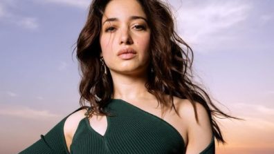 Tamannaah on why are South films connecting more than Hindi films