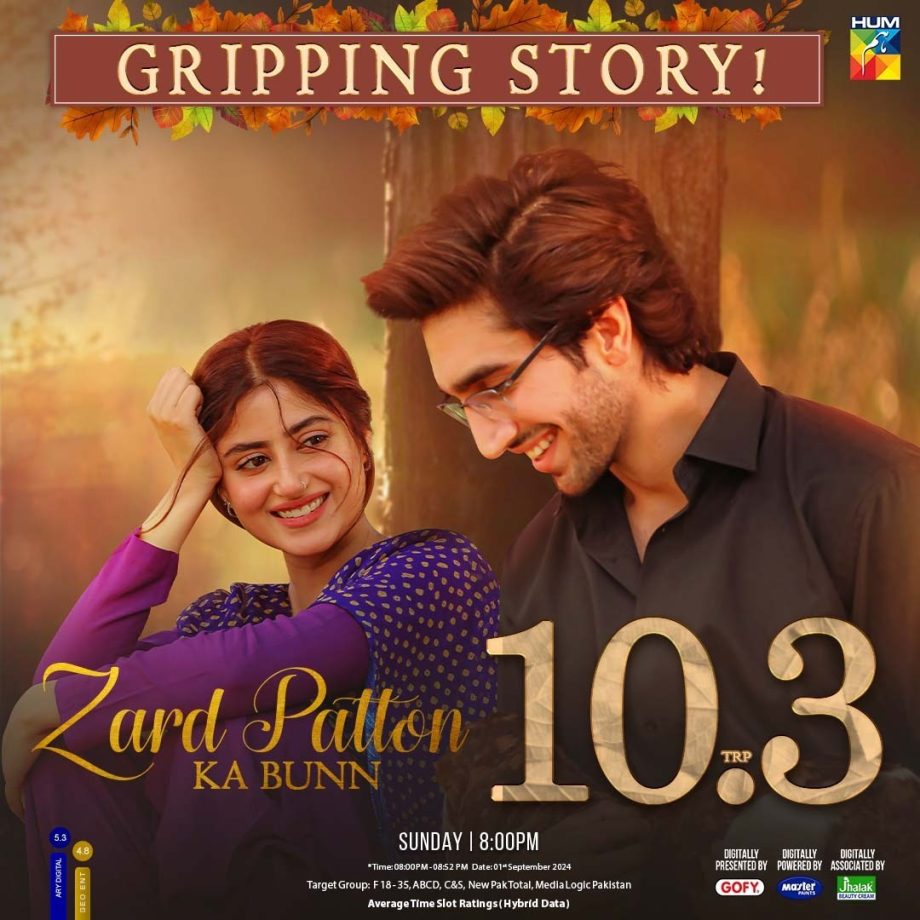 Top New Pakistani Dramas Airing on YouTube; Know the Complete Details From Date to Time 916968