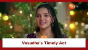 Vasudha Upcoming Twist: Vasudha's timely act saves Chauhan family's image; Will she get caught? 920025