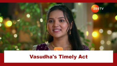 Vasudha Upcoming Twist: Vasudha’s timely act saves Chauhan family’s image; Will she get caught?