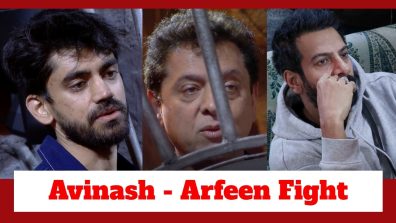 Bigg Boss 18: Avinash Mishra and Arfeen Khan lock horns; Karanveer Mehra enjoys their fight