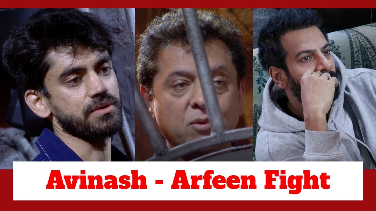 Bigg Boss 18: Avinash Mishra and Arfeen Khan lock horns; Karanveer Mehra enjoys their fight 923373