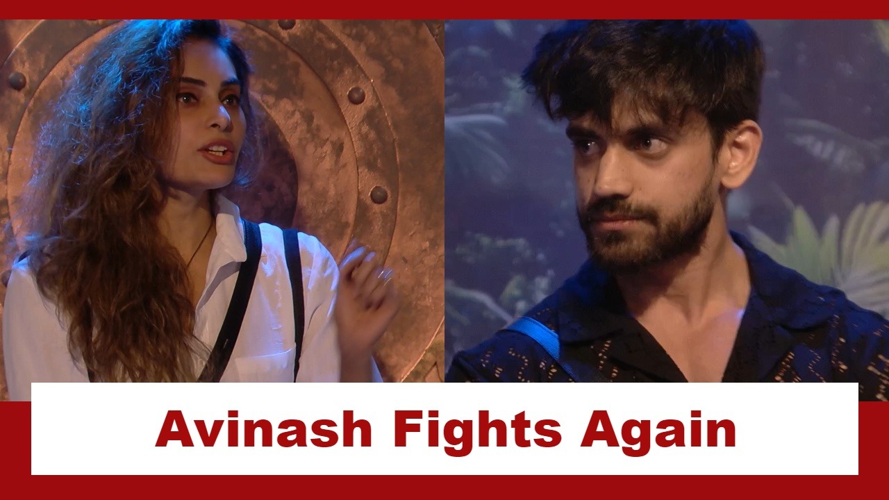 Bigg Boss 18: Avinash Mishra does it again!!, gets into a fight now with Shrutika