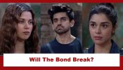 Bigg Boss 18: Avinash Mishra’s staggering comment for Alice Kaushik on her birthday; will Alice-Avinash-Eisha bond break?