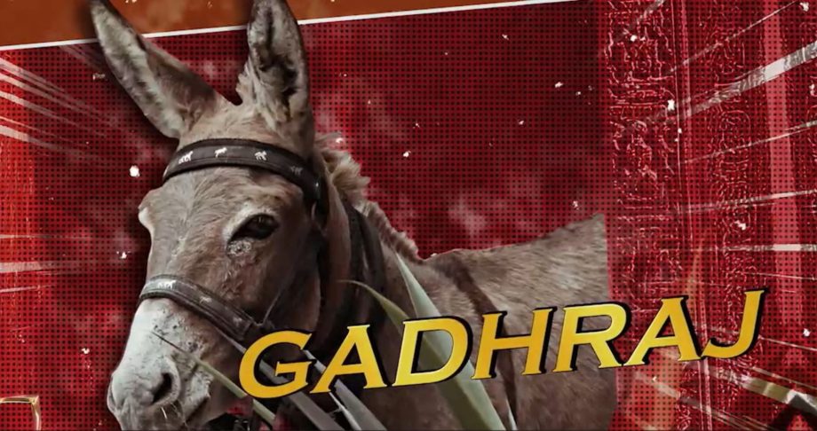 Bigg Boss 18: Gadhraj has its 'star' moment; Shehzada Dhami locks horns with Chum Darang 920929