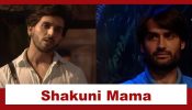 Bigg Boss 18: Shehzada Dhami calls Vivian Dsena ‘Shakuni Mama’ of the house