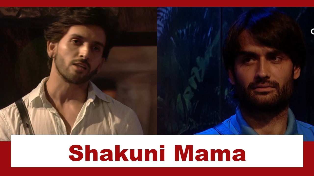 Bigg Boss 18: Shehzada Dhami calls Vivian Dsena ‘Shakuni Mama’ of the house