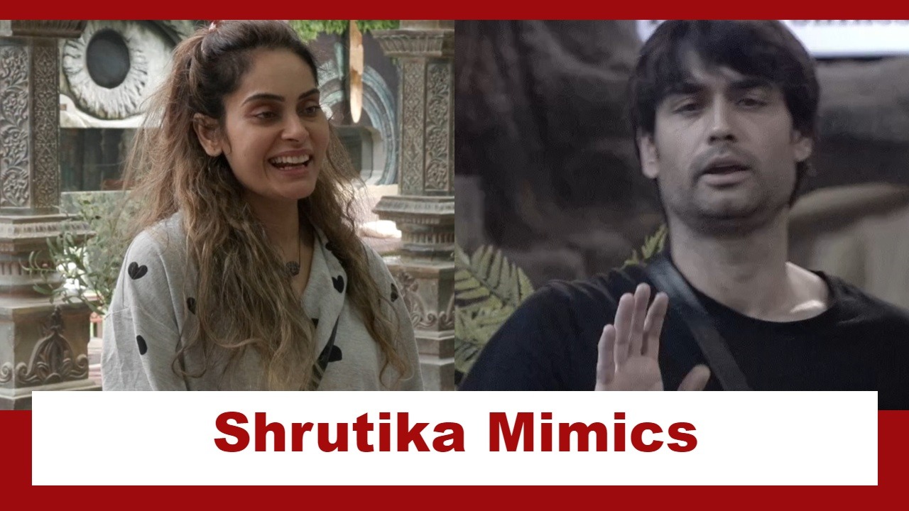 Bigg Boss 18 Spoiler: Shrutika Arjun mimics Vivian Dsena, Vivian says, "I know people copy stars" 921174