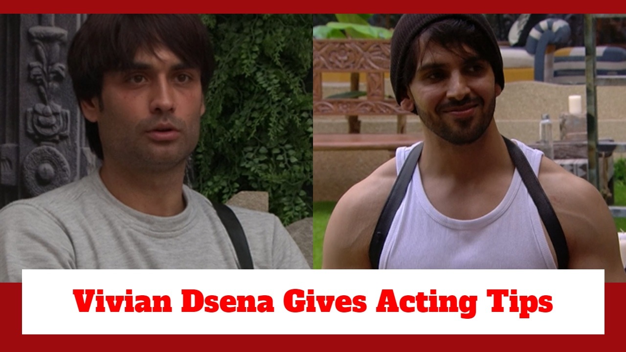 Bigg Boss 18 Spoiler: Vivian Dsena gives acting tips to Shehzada Dhami; talks about the decline in success ratio 920978