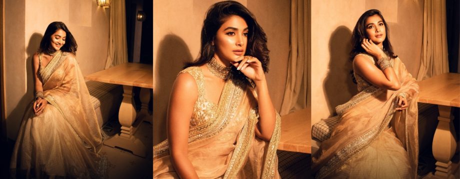 Bollywood Divas Dazzle in Diwali Finery: Pooja Hegde and Radhika Madan Stun in Elegant Sarees 923253