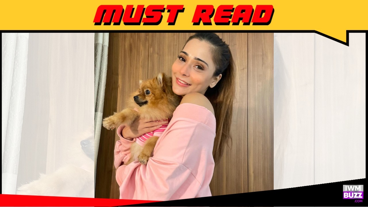 Heartbreaking to see such cruelty against animals: Sara Khan 920804