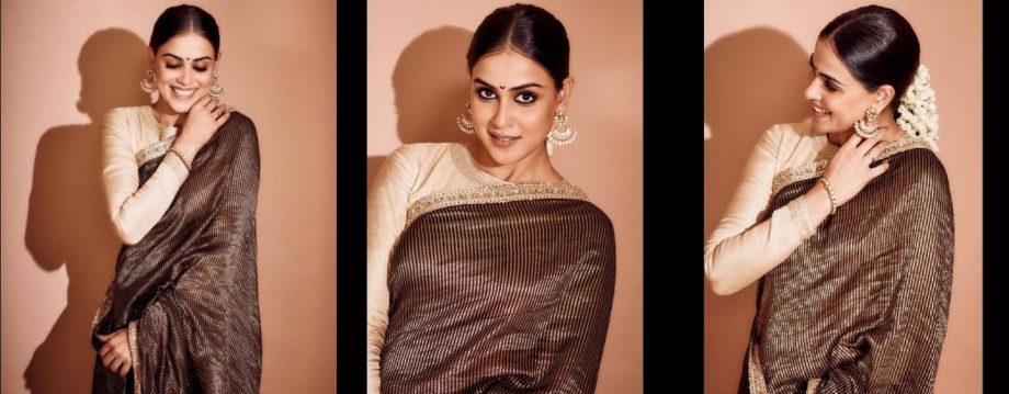 Hina Khan Vs. Genelia D'Souza: Whose Striped Tissue Saree Style Is Captivating? 921598