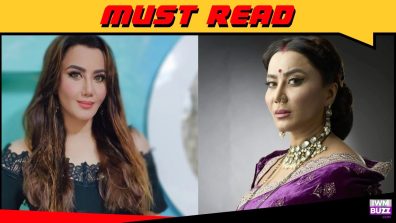 I am a 70 per cent match to Chandrika Singh Chauhan of Vasudha: Nausheen Ali Sardar