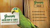 Meet Gullu: The New Face of Greenply’s ‘Healthy & Safe Interiors’ Campaign!
