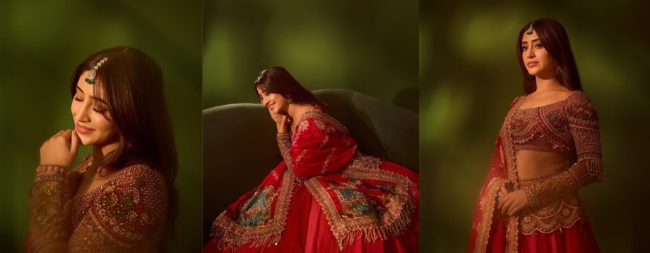 Saree, Lehenga, or Sharara: Reem, Shivangi, and Divyanka's Diwali Outfit Choices Will Inspire Your Festive Fashion 924051