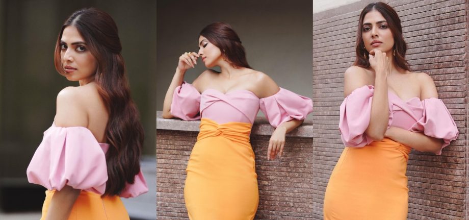 Southern Divas Sizzle: Malvika Mohanan and Samantha Ruth Prabhu Stun in Latest Photoshoots 922054