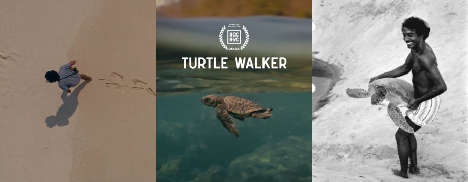 The documentary from Zoya Akhtar and Reema Kagti's, “Turtle Walker,” is all set to premiere at Doc NYC on November 17! 922058