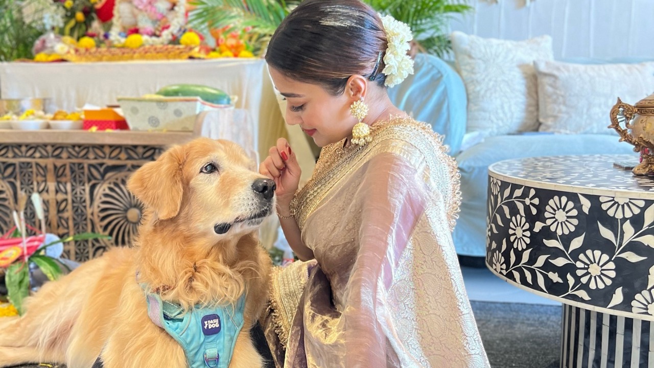 Tina Datta says, “It’s heartbreaking to see people aiming rockets near animals; it’s cruel and doesn’t reflect the spirit of Diwali at all” 923964