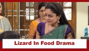 Udne Ki Aasha Upcoming Twist: ‘Lizard in food’ drama in Sachin’s house; Sailee gets blamed