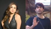 Vahbbiz Dorabjee denies doing 'Bigg Boss 18' with Vivian Dsena in it; 'don't want to disturb my mental peace' 921297