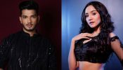 Ashi Singh Shares Thoughts on Working with Munawar Faruqui in 927681