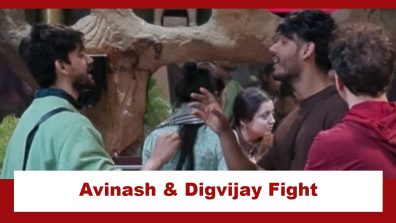 Bigg Boss 18: Avinash Mishra and Digvijay Singh Rathee get into a massive showdown; new enmity on the cards