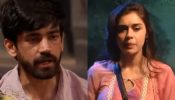 Bigg Boss 18: Avinash Mishra Gets Irritated With Eisha Singh, Latter Refuses To Talk Ever