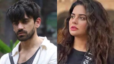 Bigg Boss 18: Sara Arfeen Khan physically hurts Avinash Mishra; will she get evicted?