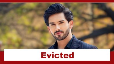 Bigg Boss 18: Shehzada Dhami evicted from the house