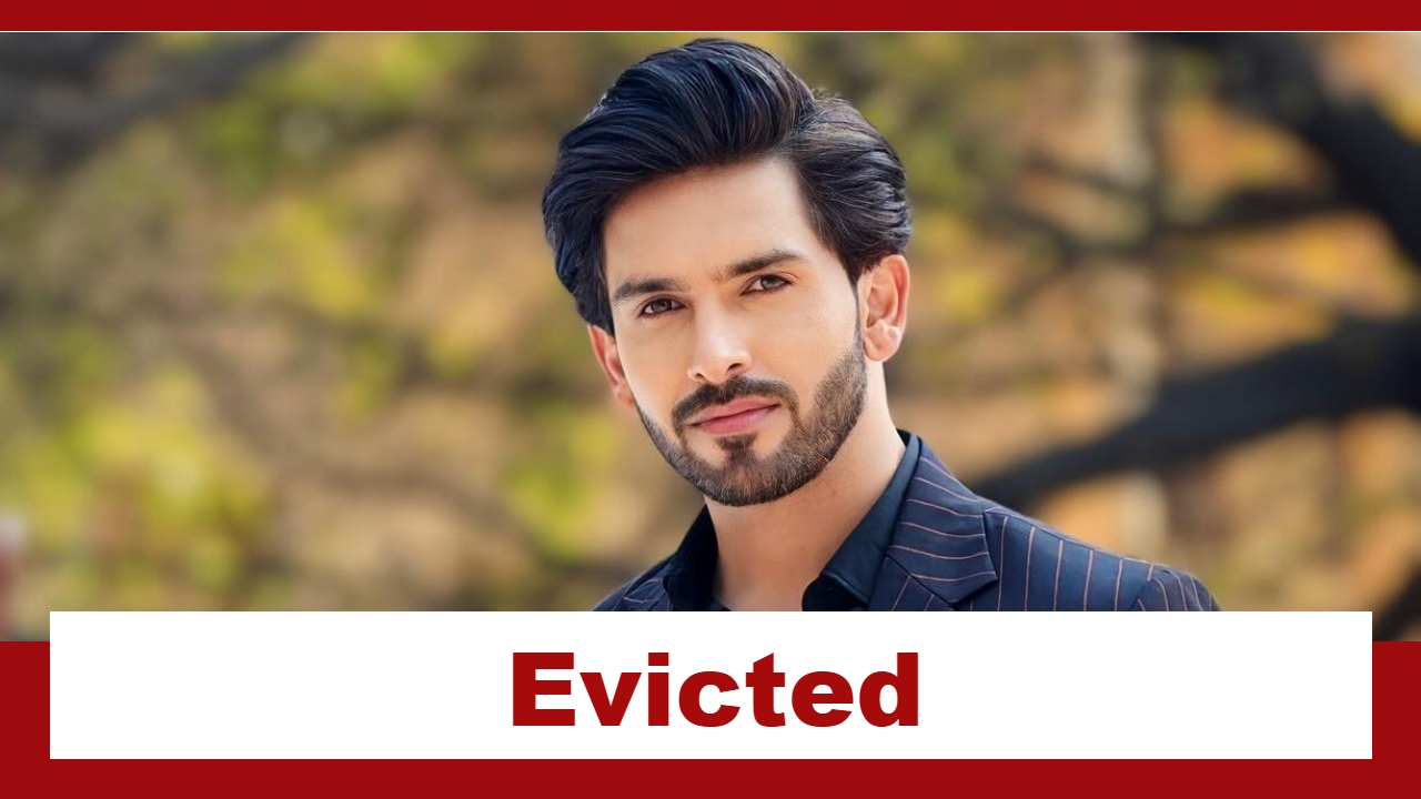 Bigg Boss 18: Shehzada Dhami evicted from the house 924422