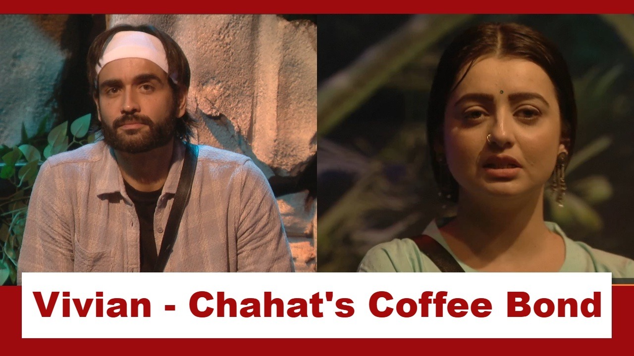 Bigg Boss 18: Surprise!! Chahat Pandey and Vivian Dsena bond over ‘coffee’