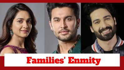 Deewaniyat Upcoming Twist: Mannat and Jeet wish for their families’ enmity to end; Dev harbours a different intention
