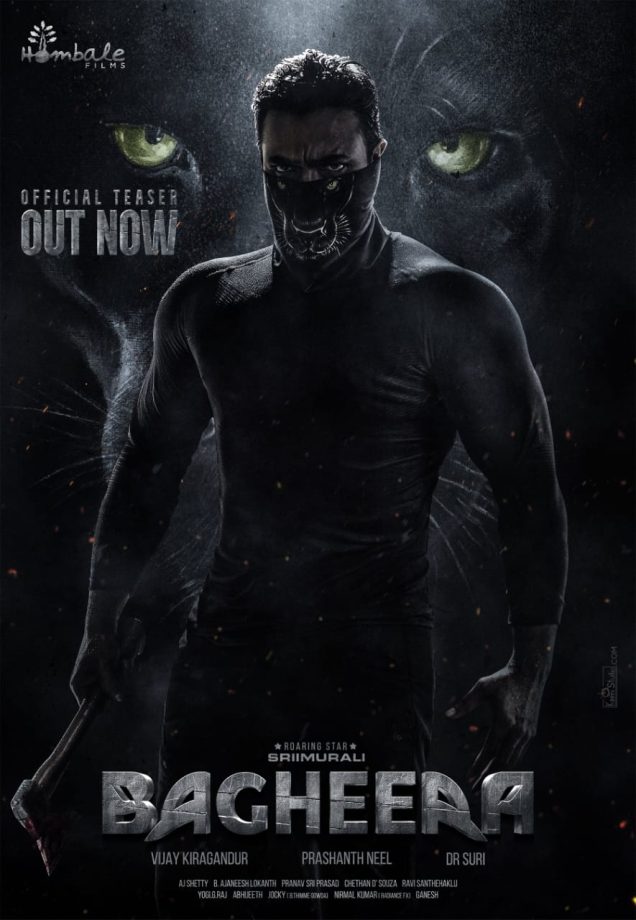 Diwali 2024: A Blockbuster Season with Hits from Bhool Bhulaiyaa 3 to Bagheera Across Indian Cinemas 925068