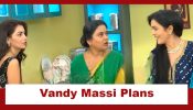 Kaise Mujhe Tum Mil Gaye Upcoming Twist: Vandy Massi plans a fight with Ahujas; will destiny bring the families closer?