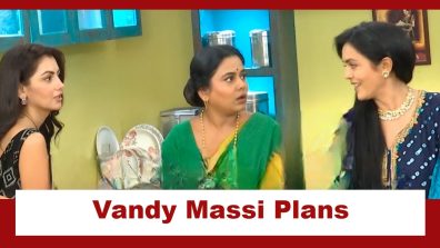 Kaise Mujhe Tum Mil Gaye Upcoming Twist: Vandy Massi plans a fight with Ahujas; will destiny bring the families closer?