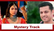 Megha Barsenge Upcoming Twist: Megha gets married to Arjun; gets into the mysterious Talwar house