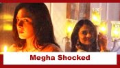 Megha Barsenge Upcoming Twist: Megha shocked to see Mandeep dancing; Did Megha see someone else the previous night?